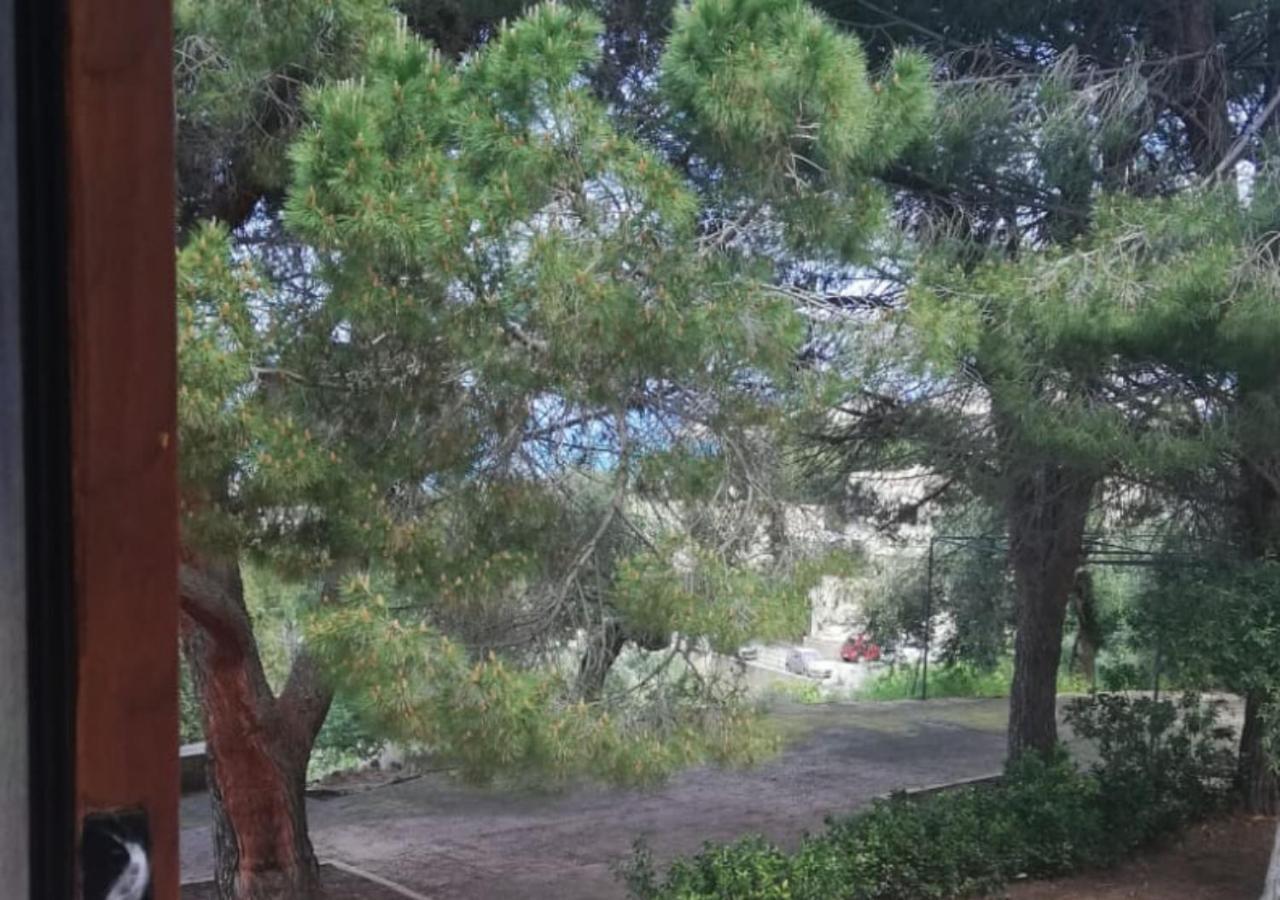 Villa Del Vescovo 切法卢 外观 照片